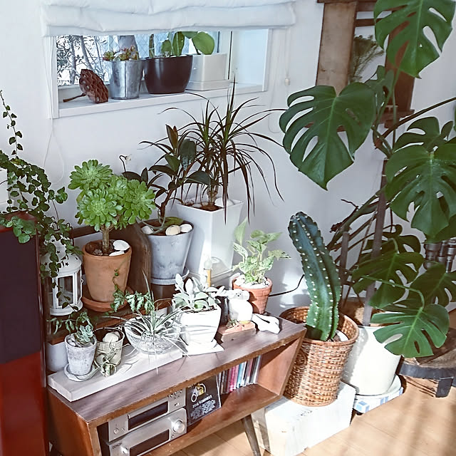 natuさんの実例写真