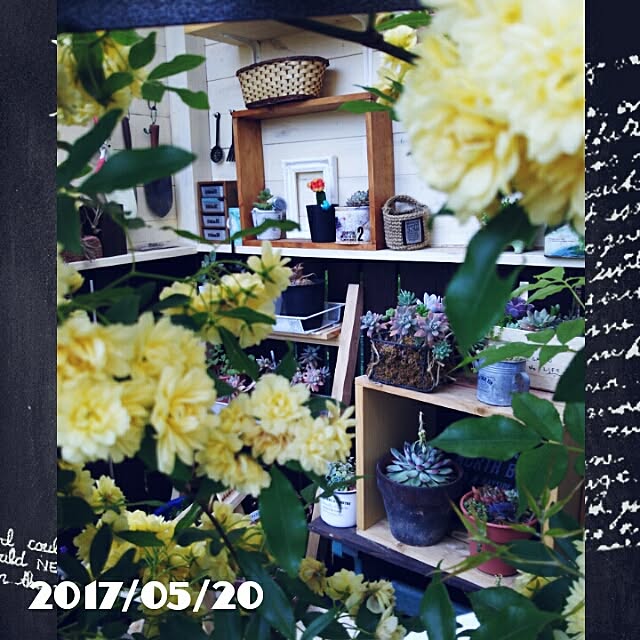 bousuke.215112さんの実例写真