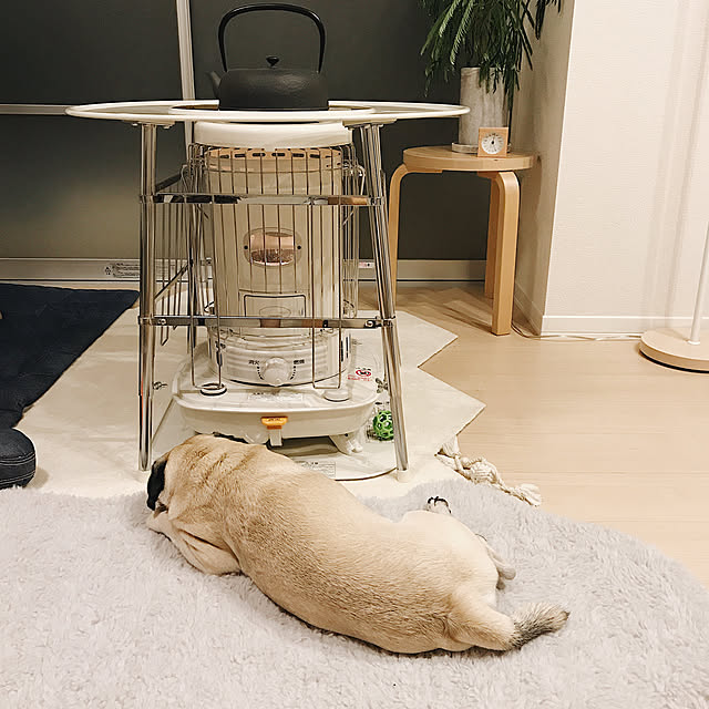 YUIさんの実例写真