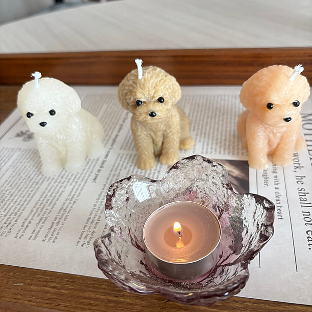 chIoeさんの実例写真