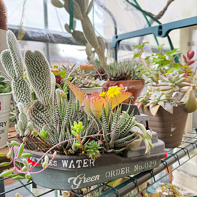 Aqettyさんの部屋