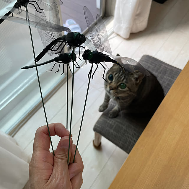 t-famさんの実例写真