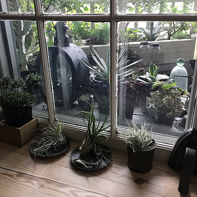mamisazさんの実例写真