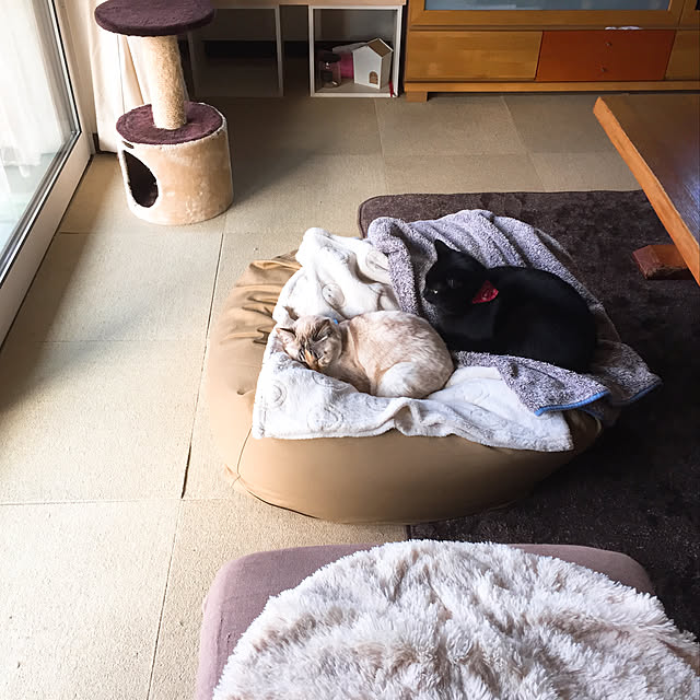 nanaさんの実例写真