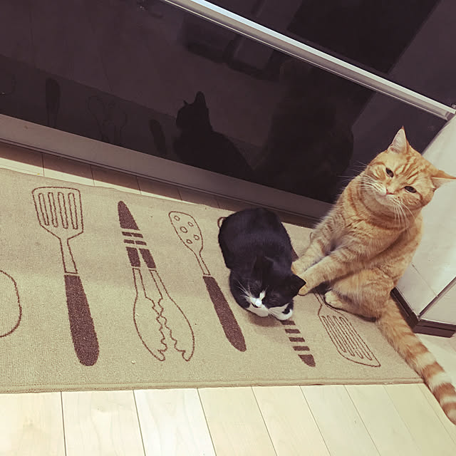 nekoさんの実例写真