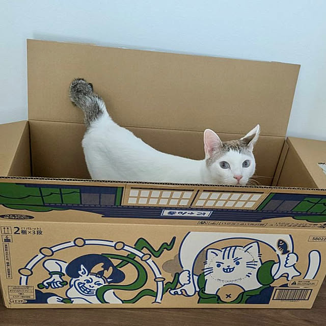 Misakiさんの部屋
