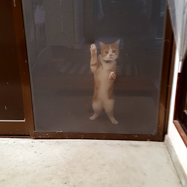nagisaさんの実例写真