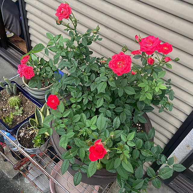 yumiさんの部屋