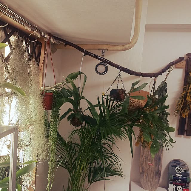 msさんの実例写真