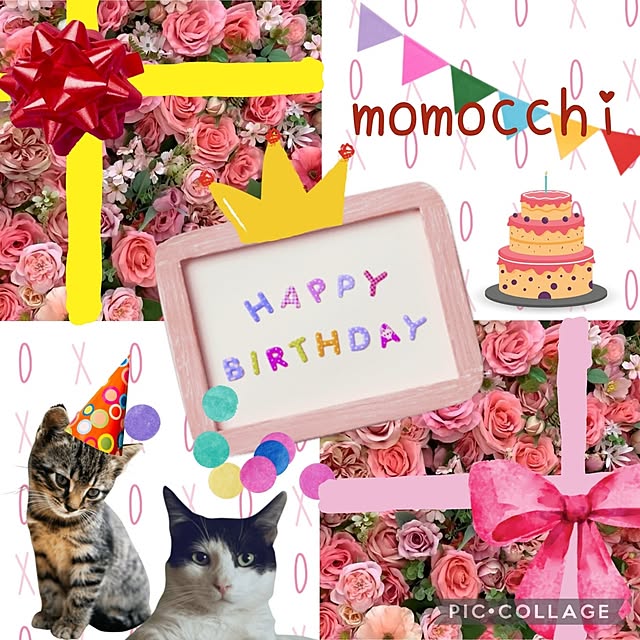 momozouさんの実例写真