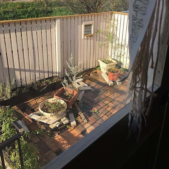 takaさんの実例写真
