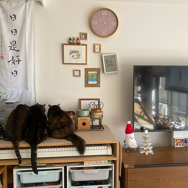 mikomaruさんの実例写真