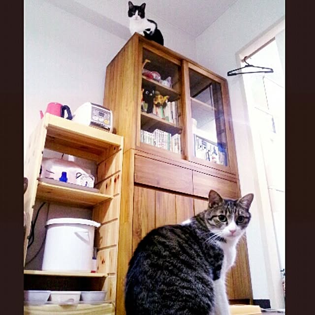 mjtsさんの実例写真