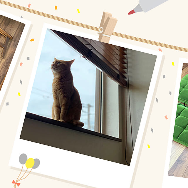 mikeume7さんの実例写真