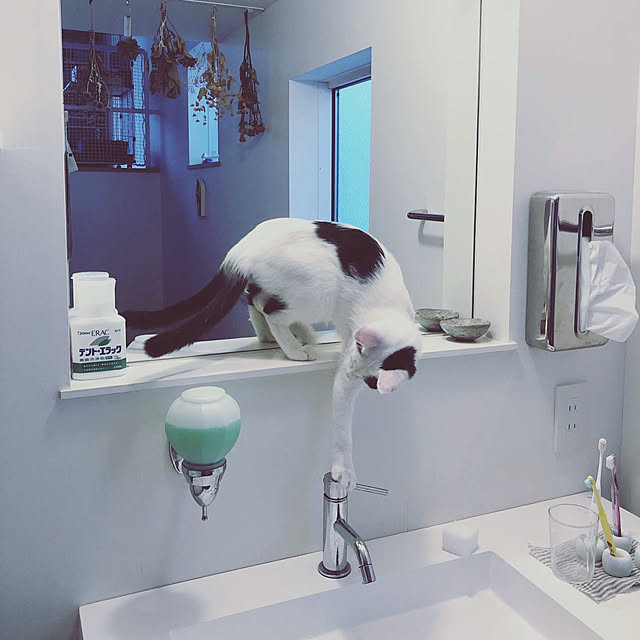 td.hsさんの実例写真