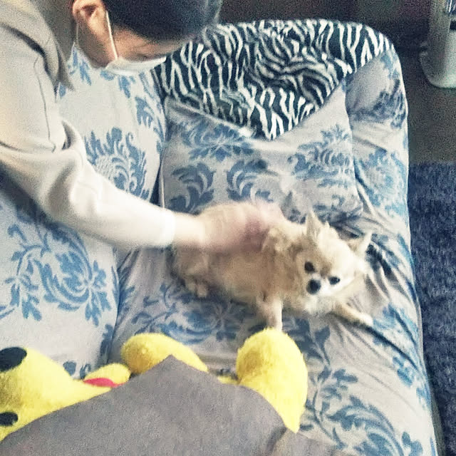 kiraさんの実例写真