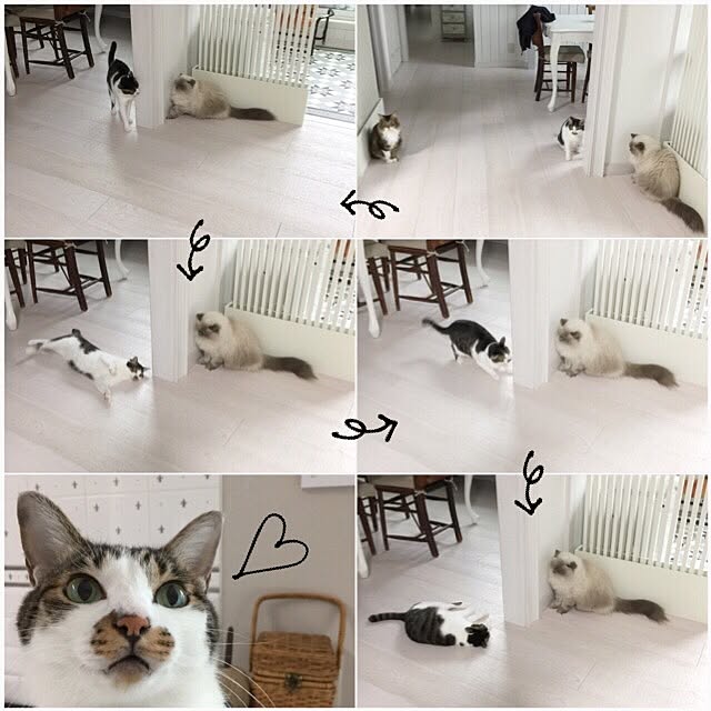 yuchiさんの実例写真