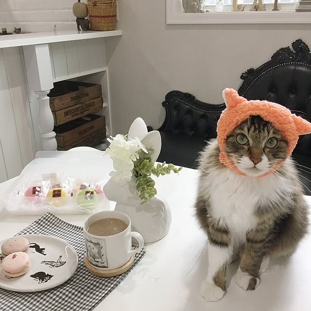 yuchiさんの実例写真