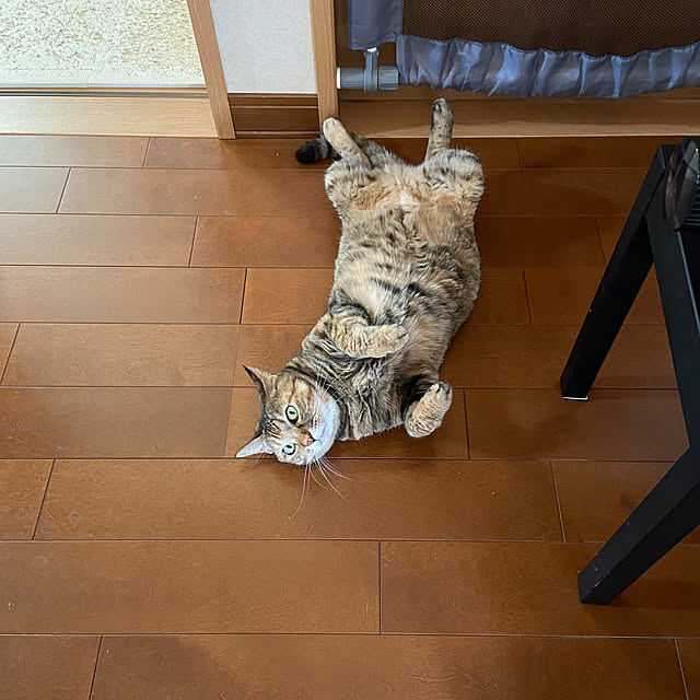 hansho.sさんの実例写真