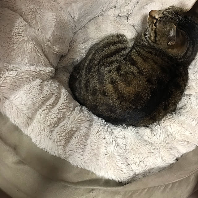daifukumotiさんの実例写真