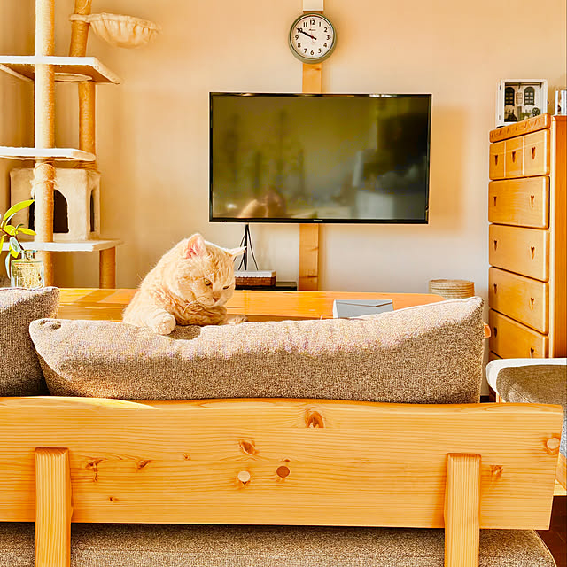 naokoさんの部屋