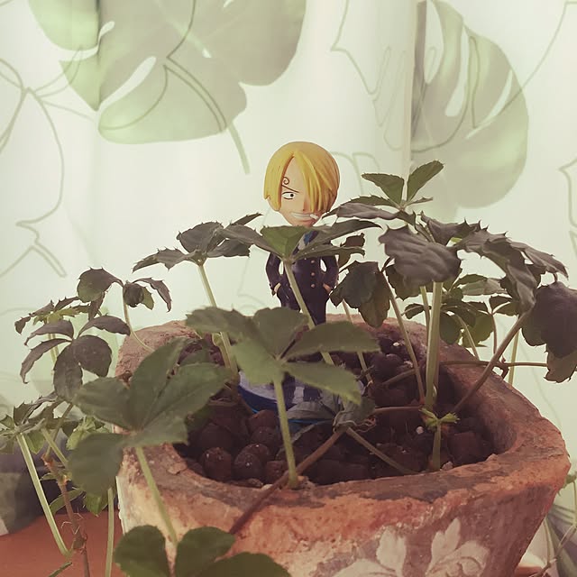 m217さんの実例写真