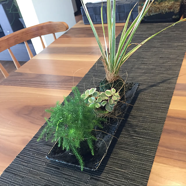 koroさんの実例写真