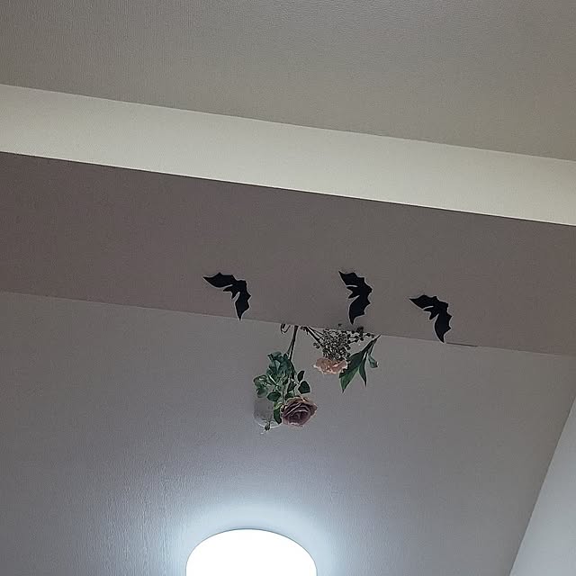 ANTENNAさんの実例写真