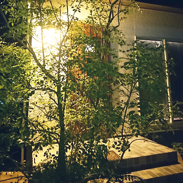 8mi25さんの実例写真