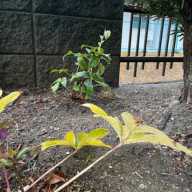 shin0719さんの部屋