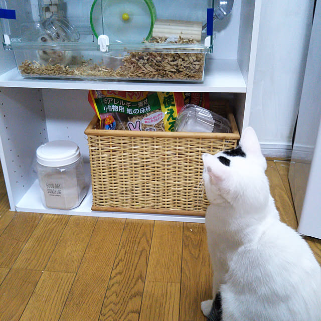 yukieさんの実例写真