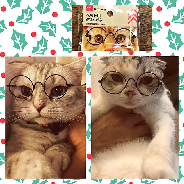 伊達メガネ/Daiso/クリスマス/Instagram始めました/IG→yokkochan0225...などのインテリア実例 - 2022-12-05 12:46:57