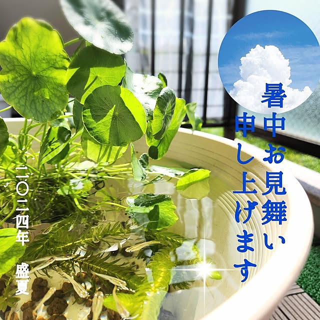 love1017さんの実例写真