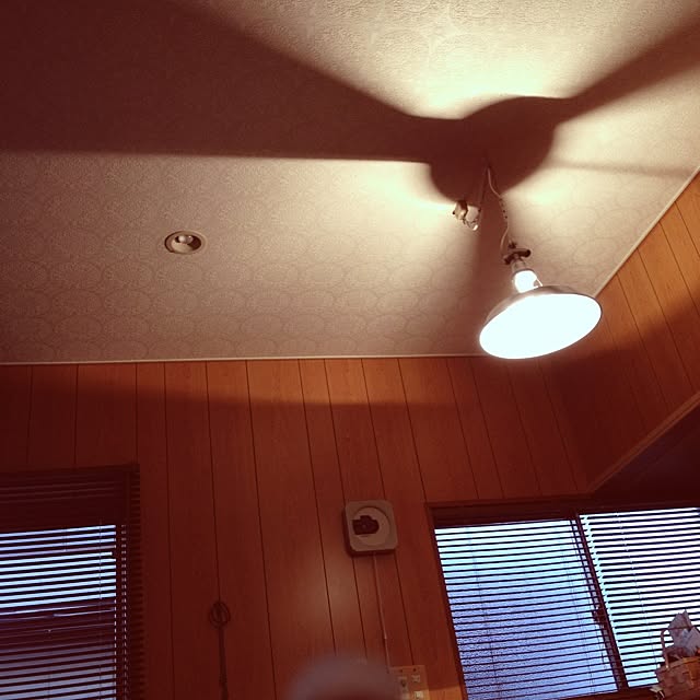 emiさんの実例写真
