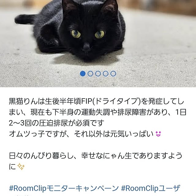 koyurizuさんの実例写真