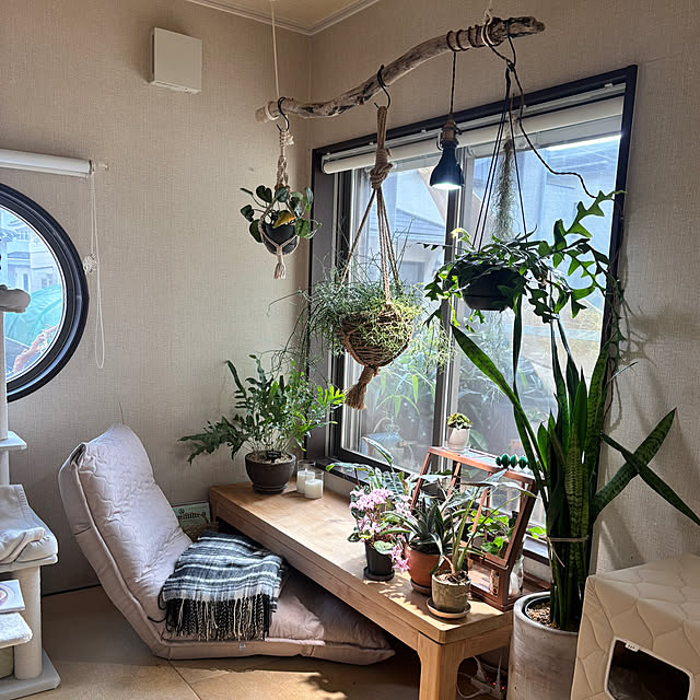 greycatsさんの実例写真