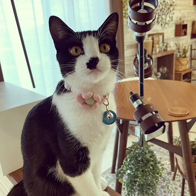 minatoさんの実例写真