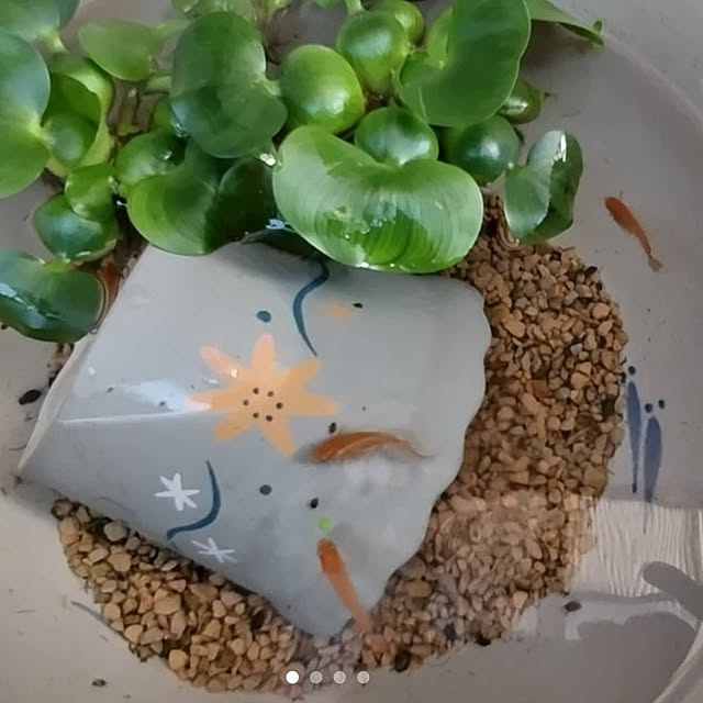 katさんの実例写真