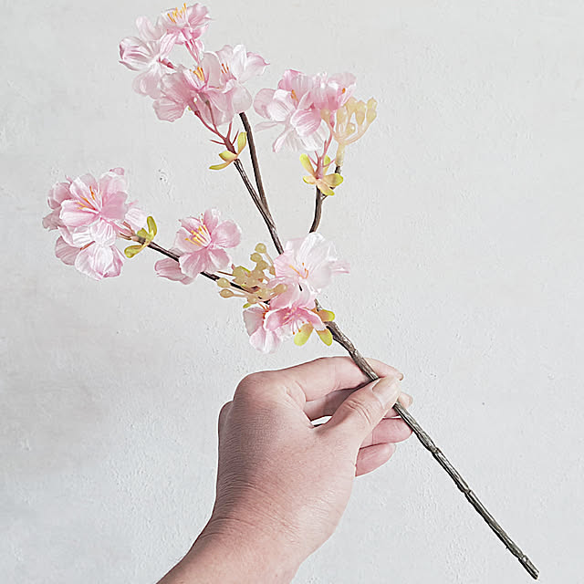 daily-order-mailさんの実例写真