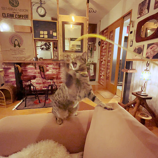 Mさんの部屋