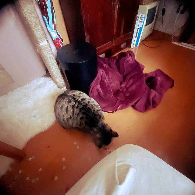 Mさんの部屋