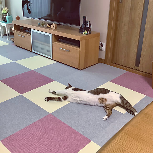 haruminさんの実例写真