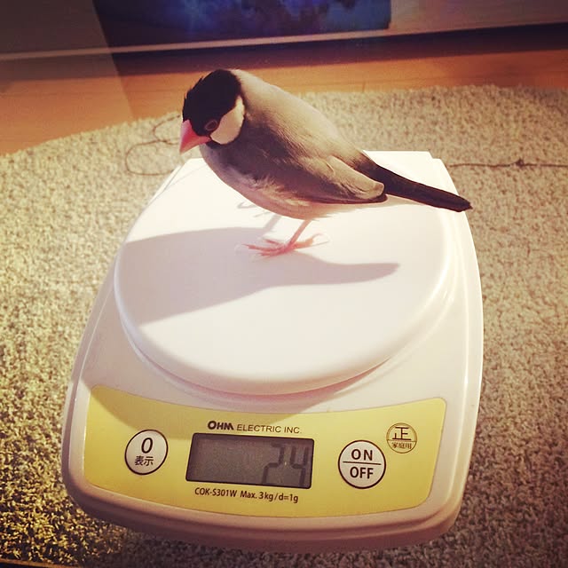 kaoさんの実例写真