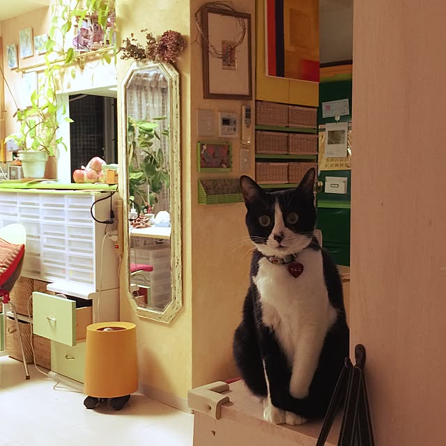実例写真