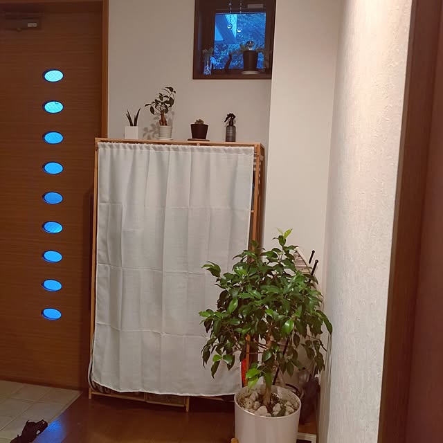 saki++の山善-山善(YAMAZEN) 折りたたみ椅子 (ワイド) スツール チェア パイプ椅子 幅38×奥行32×高さ50cm 完成品 グレー YZX-025(GY/WH)の家具・インテリア写真