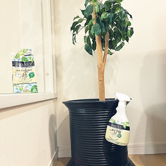 dmamaさんの部屋