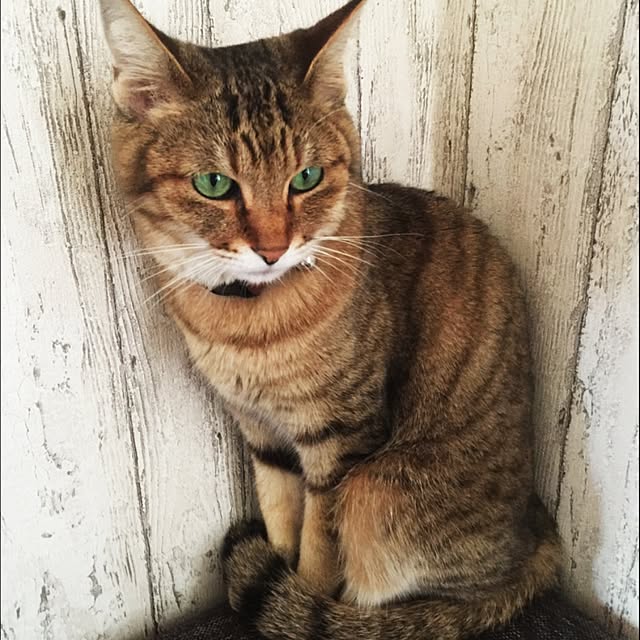 OMAさんの実例写真