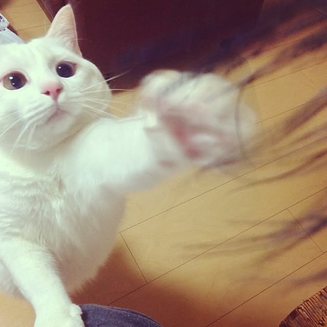 kaoさんの実例写真