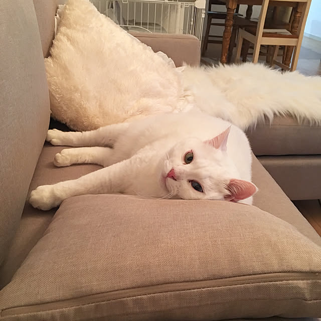 kaoさんの実例写真