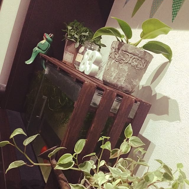 yUmiさんの実例写真